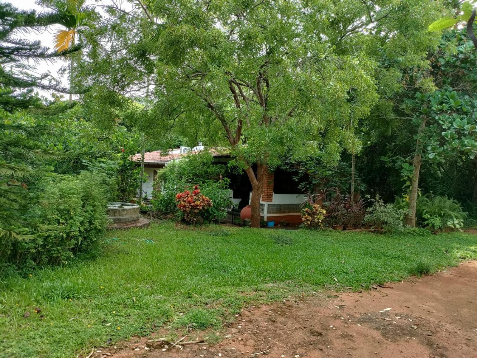 Inn Pondiville Forest Retreat ポンディシェリ エクステリア 写真
