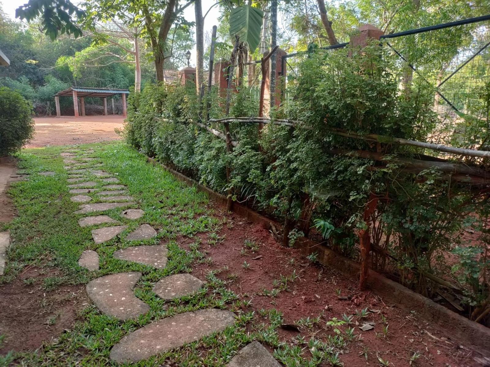 Inn Pondiville Forest Retreat ポンディシェリ エクステリア 写真