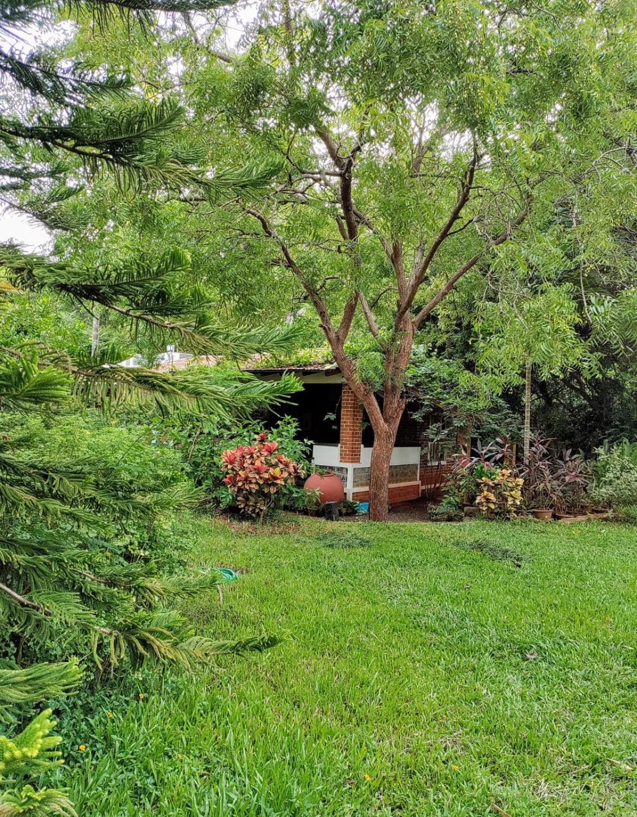 Inn Pondiville Forest Retreat ポンディシェリ エクステリア 写真