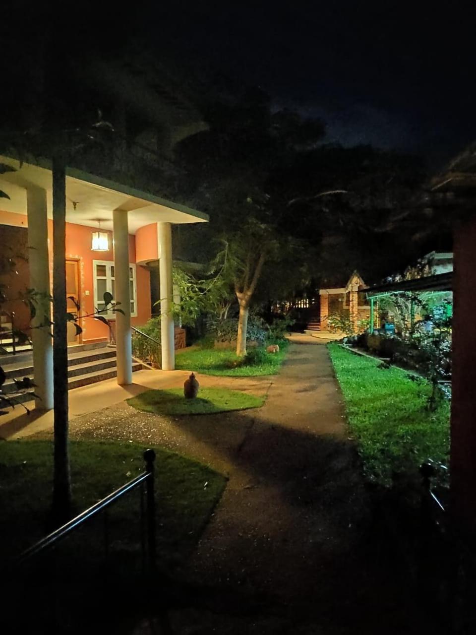 Inn Pondiville Forest Retreat ポンディシェリ エクステリア 写真